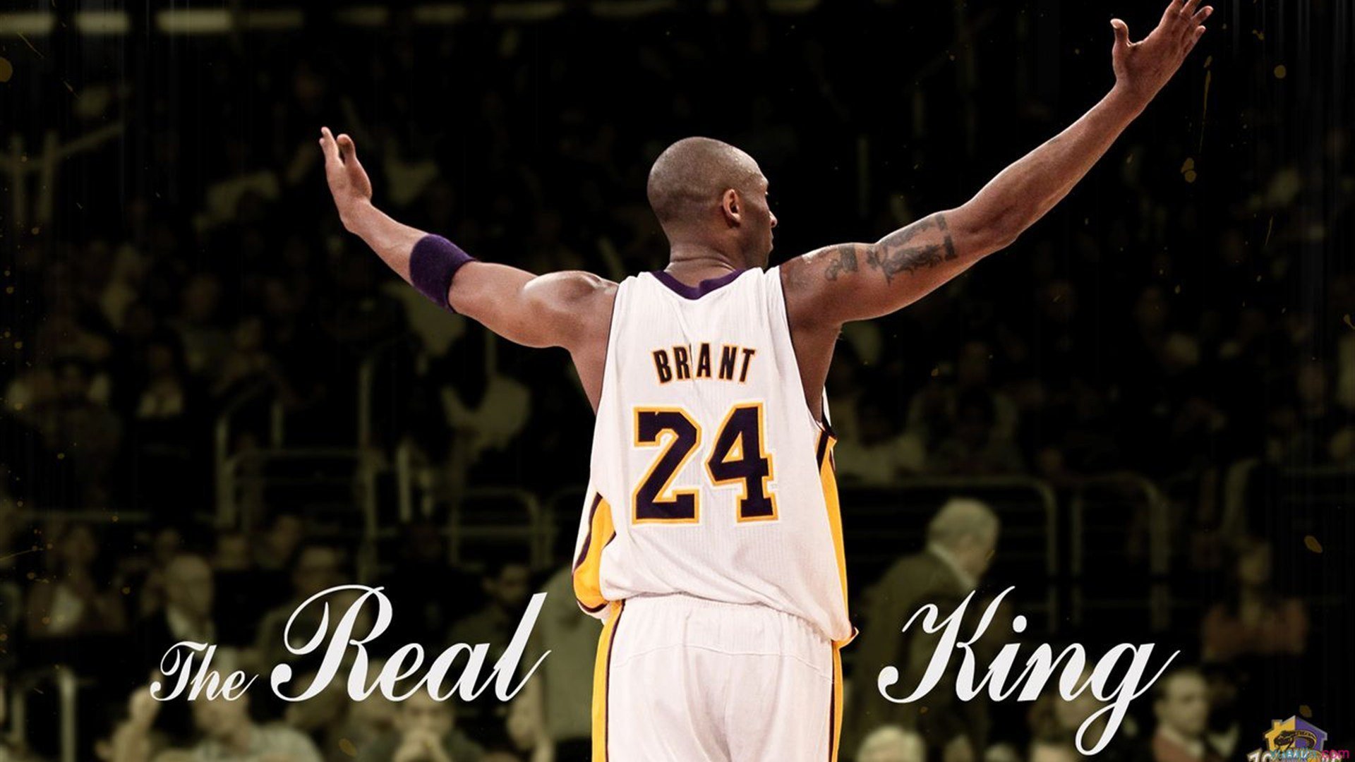 NBA新赛季前瞻,巨星转会、黑马崛起与总冠军争夺战一触即发